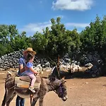 Suzi - Family Farm With Donkeys, Pool And Sea View Near Rijeka * 슈므리카