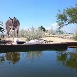 Suzi - Family Farm With Donkeys, Pool And Sea View Near Rijeka 아파트 슈므리카