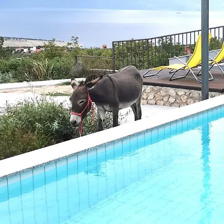 Suzi - Family Farm With Donkeys, Pool And Sea View Near Rijeka