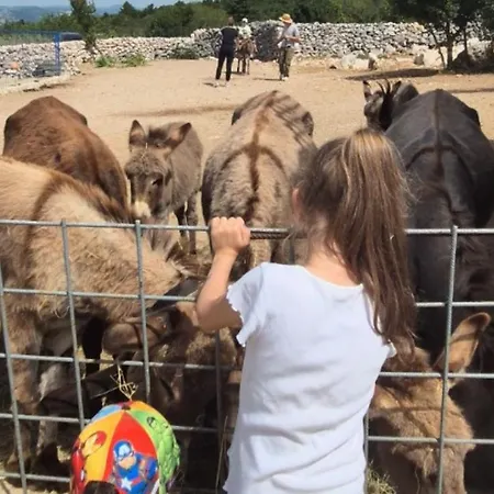 Suzi - Family Farm With Donkeys, Pool And Sea View Near Rijeka Šmrika
