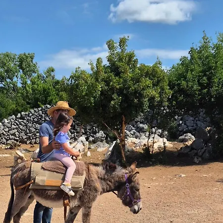 Suzi - Family Farm With Donkeys, Pool And Sea View Near Rijeka * Šmrika