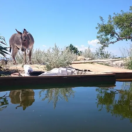 Suzi - Family Farm With Donkeys, Pool And Sea View Near Rijeka Διαμέρισμα Šmrika