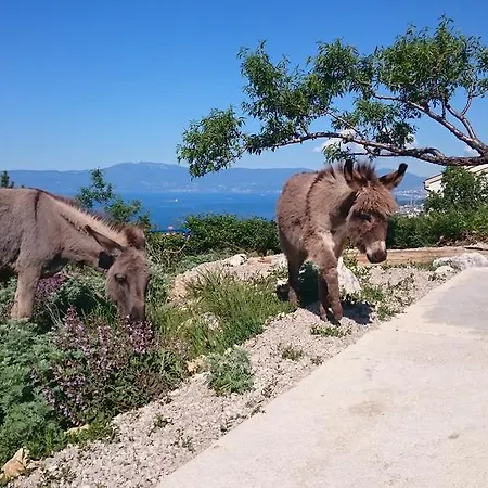 Διαμέρισμα Suzi - Family Farm With Donkeys, Pool And Sea View Near Rijeka