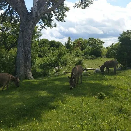 Suzi - Family Farm With Donkeys, Pool And Sea View Near Rijeka *