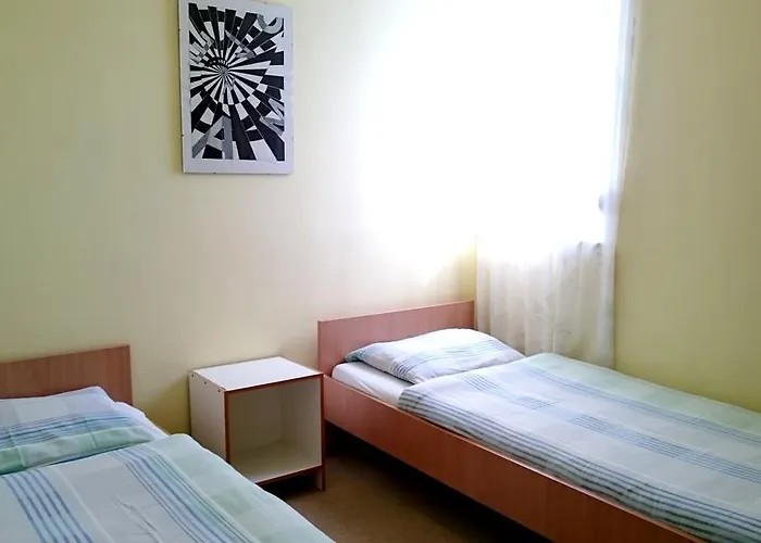 Suzi Donkey Farm & Sea View