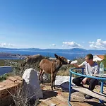 Lejlighed Suzi - Family Farm With Donkeys, Pool And Sea View Near Rijeka Šmrika