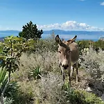 公寓 Suzi - Family Farm With Donkeys, Pool And Sea View Near Rijeka