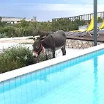 Suzi - Family Farm With Donkeys, Pool And Sea View Near Rijeka