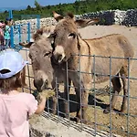 Suzi - Family Farm With Donkeys, Pool And Sea View Near Rijeka * Šmrika