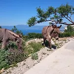 Lejlighed Suzi - Family Farm With Donkeys, Pool And Sea View Near Rijeka