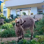 Lejlighed Suzi - Family Farm With Donkeys, Pool And Sea View Near Rijeka Šmrika