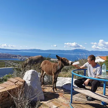 Апартаменты Suzi - Family Farm With Donkeys, Pool And Sea View Near Rijeka Шмрика