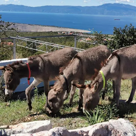 Suzi - Family Farm With Donkeys, Pool And Sea View Near Rijeka *