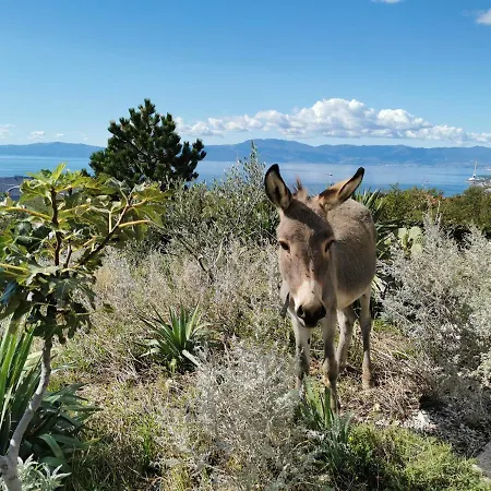 Апартаменты Suzi - Family Farm With Donkeys, Pool And Sea View Near Rijeka