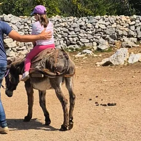 Suzi Donkey Farm & Sea View דירה *