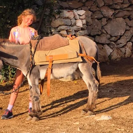 Suzi Donkey Farm & Sea View דירה שמריקה