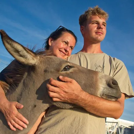דירה Suzi Donkey Farm & Sea View שמריקה