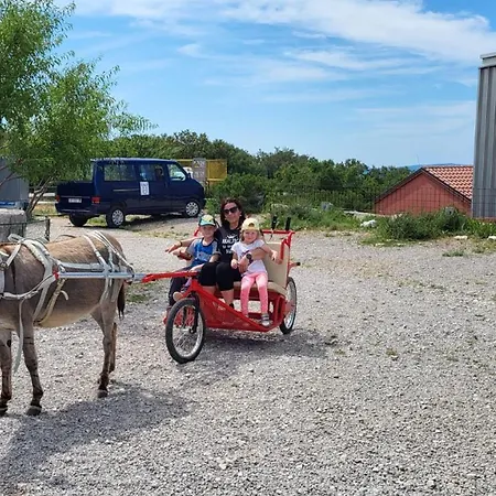 Suzi Donkey Farm & Sea View