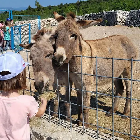 Suzi - Family Farm With Donkeys, Pool And Sea View Near Rijeka * Шмрика