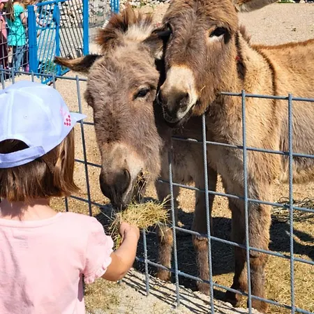 Апартаменты Suzi - Family Farm With Donkeys, Pool And Sea View Near Rijeka *