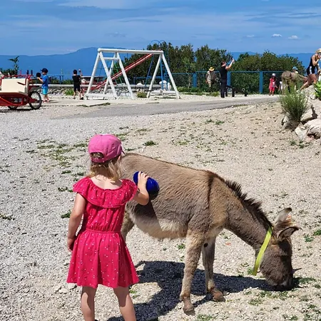 Suzi - Family Farm With Donkeys, Pool And Sea View Near Rijeka Апартаменты Шмрика