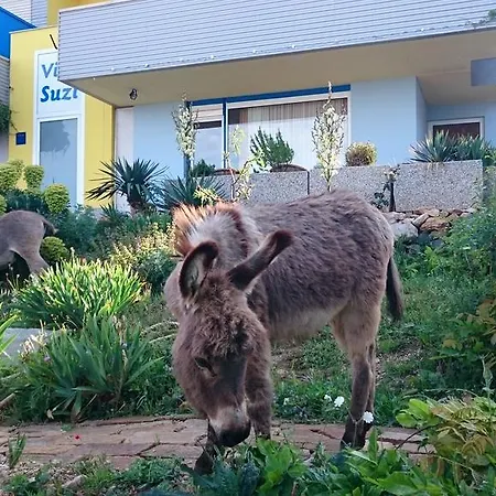 Апартаменты Suzi - Family Farm With Donkeys, Pool And Sea View Near Rijeka Шмрика