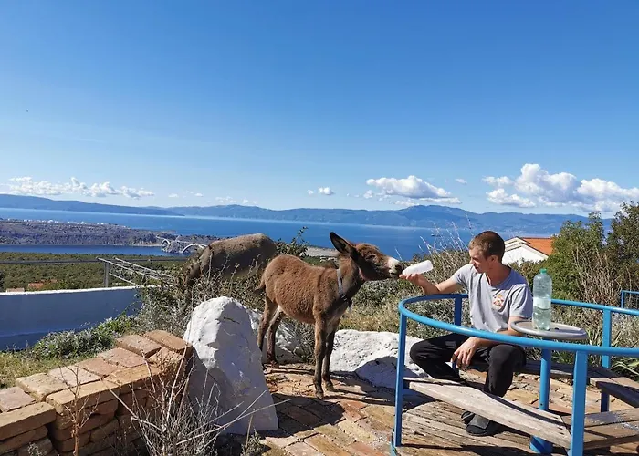 Apartment Suzi Donkey Farm & Sea View Smrika
