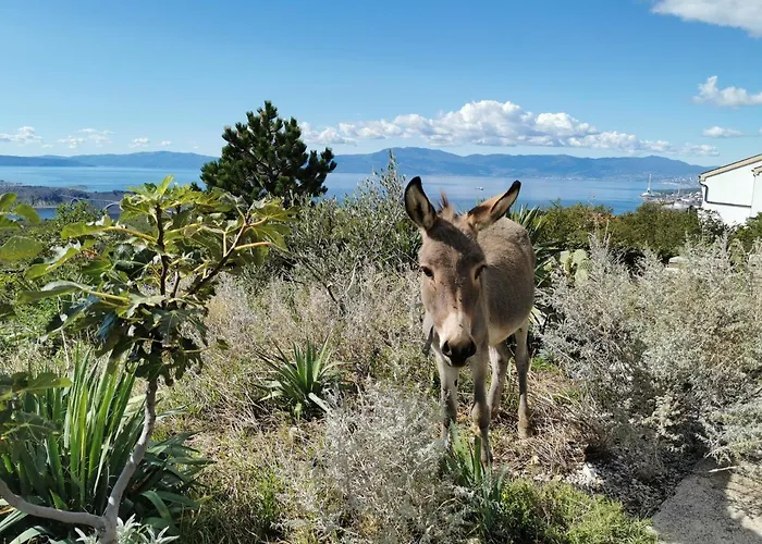 דירה Suzi Donkey Farm & Sea View