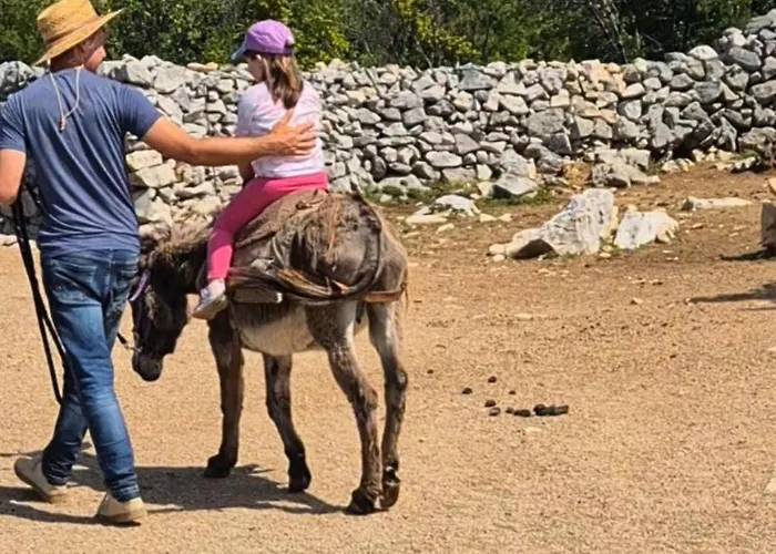 Suzi Donkey Farm & Sea View דירה *