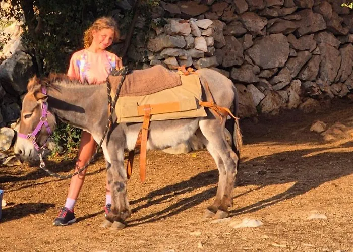 Suzi Donkey Farm & Sea View דירה שמריקה