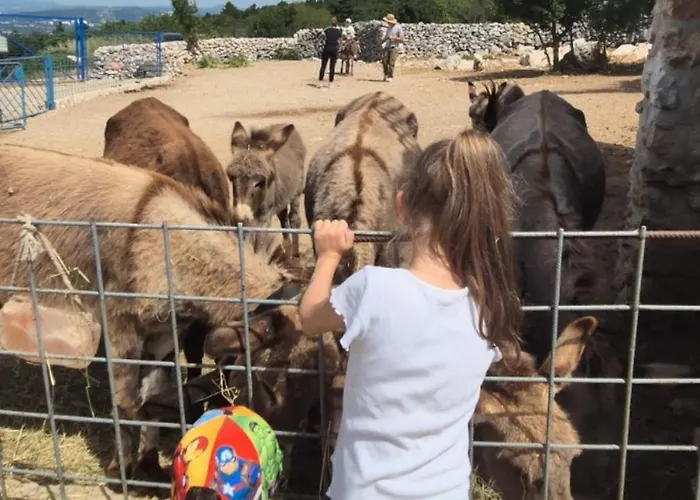 Suzi Donkey Farm & Sea View Smrika
