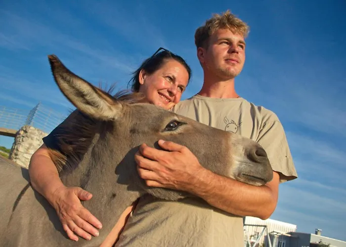 דירה Suzi Donkey Farm & Sea View שמריקה