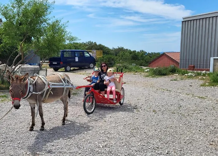 Suzi Donkey Farm & Sea View