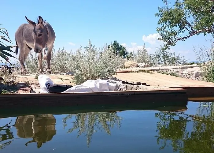 Suzi Donkey Farm & Sea View Apartment Smrika