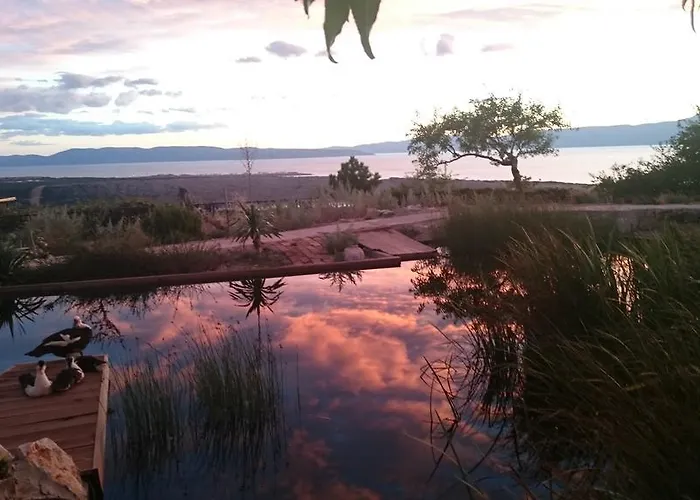 Suzi Donkey Farm & Sea View שמריקה