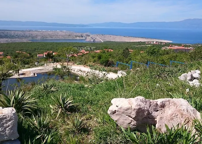 Suzi Donkey Farm & Sea View