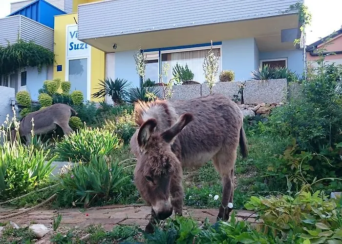 Apartment Suzi Donkey Farm & Sea View Smrika