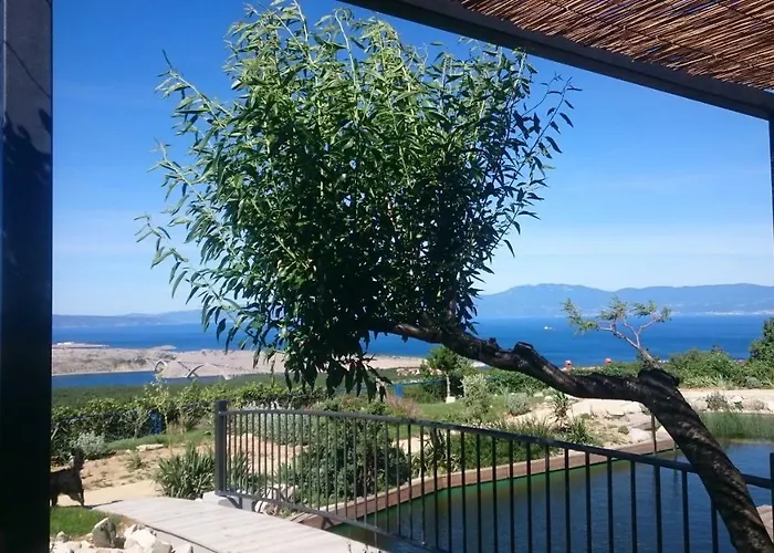 Suzi Donkey Farm & Sea View