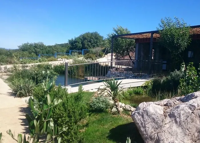 Suzi Donkey Farm & Sea View