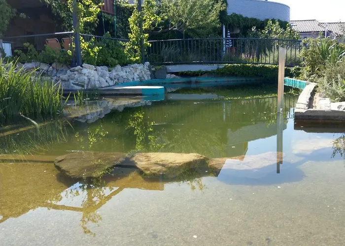 Suzi Donkey Farm & Sea View