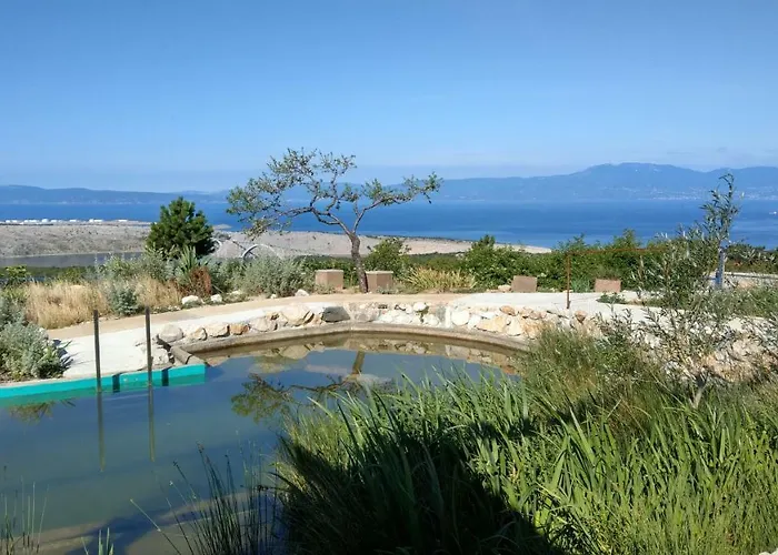 Suzi Donkey Farm & Sea View