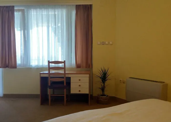 Suzi Donkey Farm & Sea View